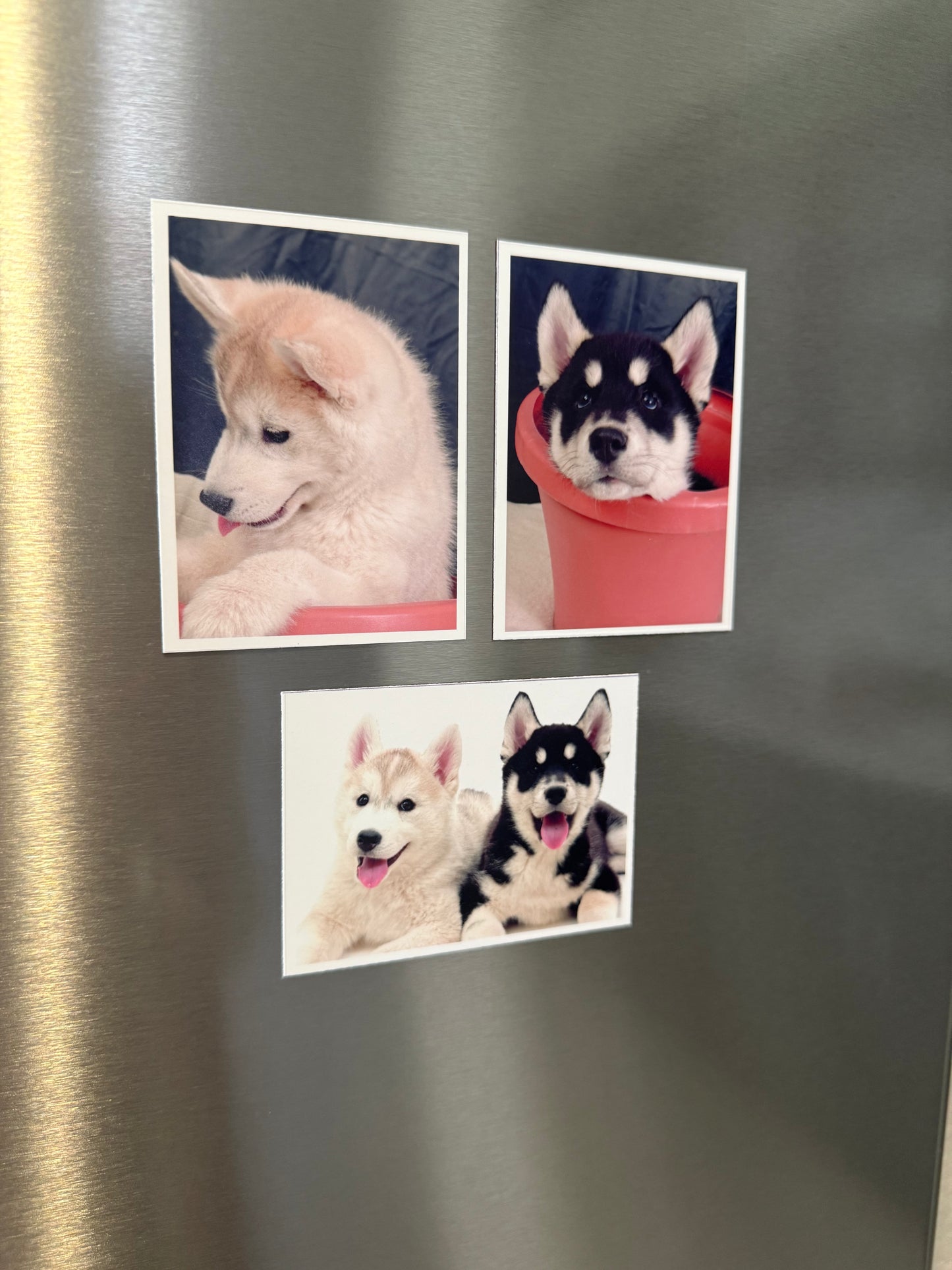 Custom Vinyl Photo Magnets - Set of 9 (2.5x3.5”)